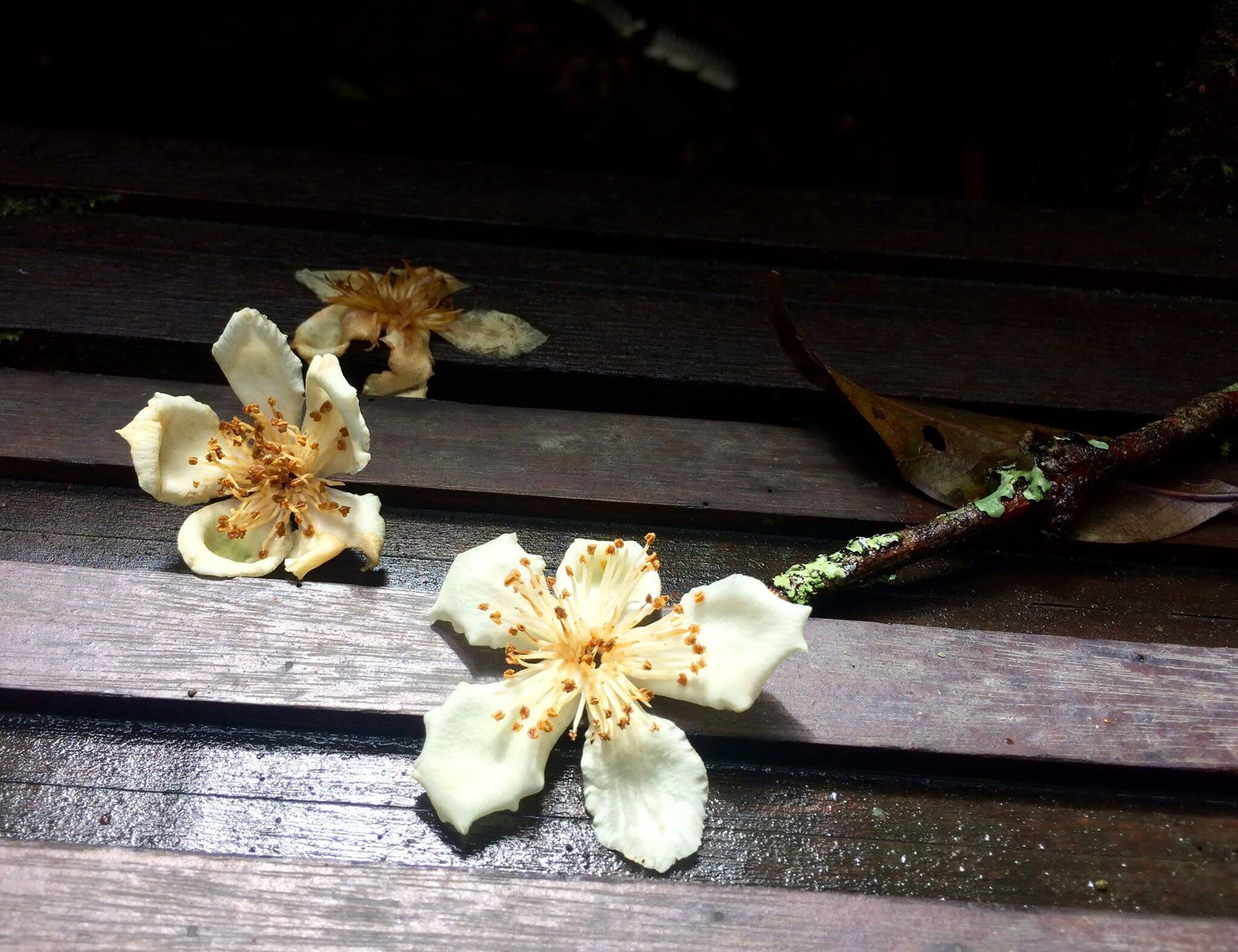 【尋常日子中找到幸福~攝影教我的人生哲學】