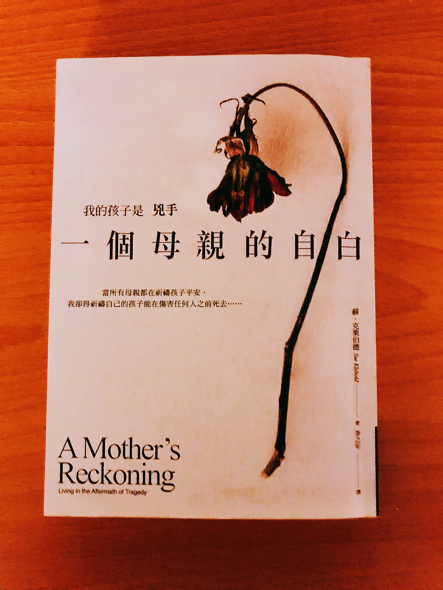 【讀心書-《我的孩子是兇手-- 一個母親的自白》】